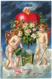 Vintage Valentine's  Day Greeting  PC,  Cupids Growing Ro...