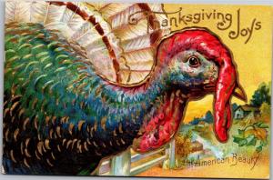 Thanksgiving Joys, An American Beauty Turkey Vintage Postcard K05