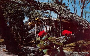 Hilton Head Island South Carolina 1960s Postcard Cottage at Sea Pines Plantation