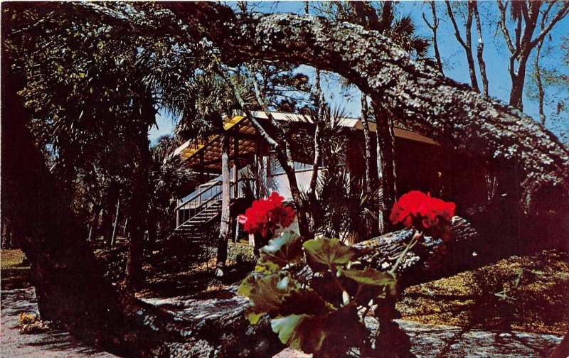 Hilton Head Island South Carolina 1960s Postcard Cottage at Sea Pines Plantation