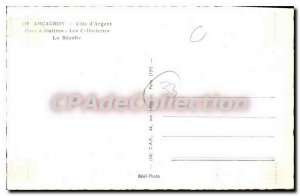 Old Postcard Parc Arcachon oysters The Collectors