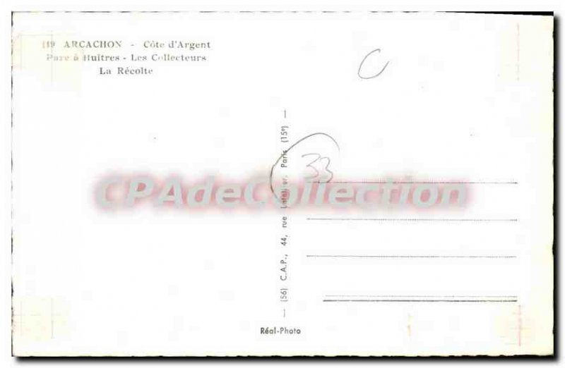 Old Postcard Parc Arcachon oysters The Collectors