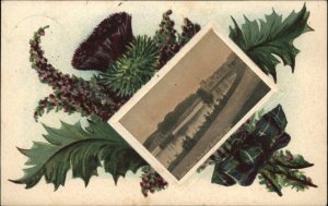 Elgin Scotland Cooper Park Thistle Border c1910 Postcard