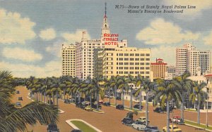 Biscayne Bouleveard Rows of Stately Royal Palms Line Miami FL 