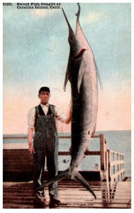 Sword Fish  hanging at dock