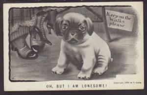 Oh But I Am Lonesome,Dog,Colby,Comic Postcard 