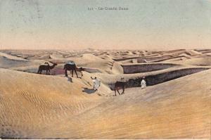 BF8570 les grandes dunes camel africa   Africa