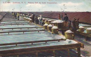 Syracuse NY, Salt Making by Solar Evaporation, Horse Drawn Wagons, 1907 Industry