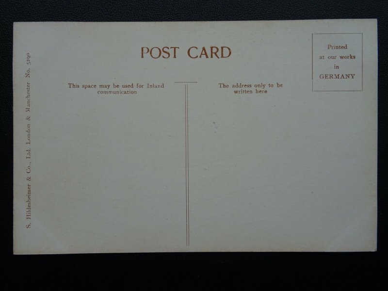 Norfolk A QUIET NOOK c1905 Postcard by Hildesheimer 5290
