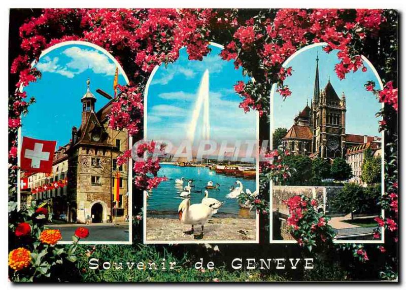 Postcard Modern Place Molard of the fountain (130 m) and swans Cathedrale St ...