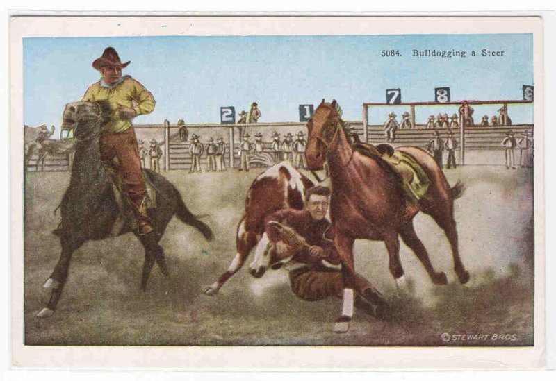 Bulldogging Steer Cowboy Western Rodeo 1920s postcard 