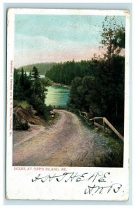 1904 Orr's Island ME Maine Scene Postcard Undivided