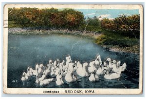 1920 Scene Near Red Oak Iowa IA, Goose Lake Scene Lincoln NE Vintage Postcard