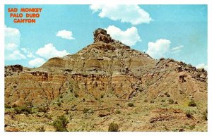 Postcard NATURE SCENE Amarillo Texas TX AU0288