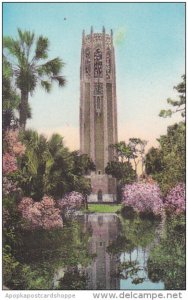 The Singing Tower Lake Wales Florida Albertype