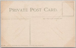 Vintage C.T.R. Station Hamilton Ontario Lithograph Postcard Macfarlane H81