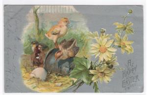 Chicks Happy Easter Holiday 1908 postcard