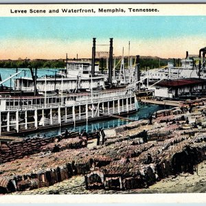 c1910s Memphis, TN Levee Scene Waterfront Cotton Hauling Steamships Tenn PC A215