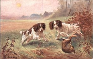 Hunting Dogs Cocker Spaniels Rabbit SAMSON c1910 Postcard