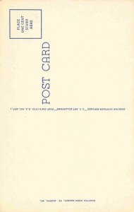 Felix Street Scene Cars St Joseph Missouri linen postcard