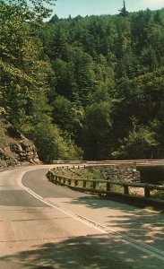The Catskills Picturesque Horseshoe New York State NY Vintage Postcard