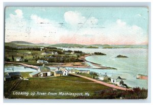 Vintage Looking Up River From MAchinasport, Me. Postcard P28E