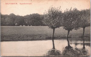 Netherlands Hilversum Spanderswoud Cows Vintage Postcard 03.83