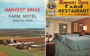 Harvest Drive Farm Motel and Restaurant Gordonville, Pennsylvania PA Postcards