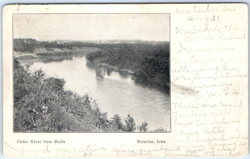 1905 UDB Waterloo, IA Cedar River Birds Eye from Bluffs Undivided Postcard A62