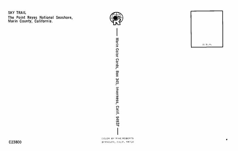 Postcard ROAD SCENE Point Reyes National Seashore California CA AU5471