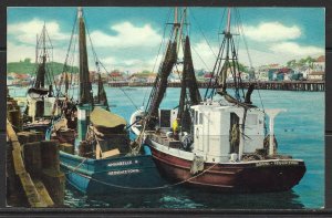 Massachusetts, Cape Cod - Fishing Boats In Harbor - [MA-103]