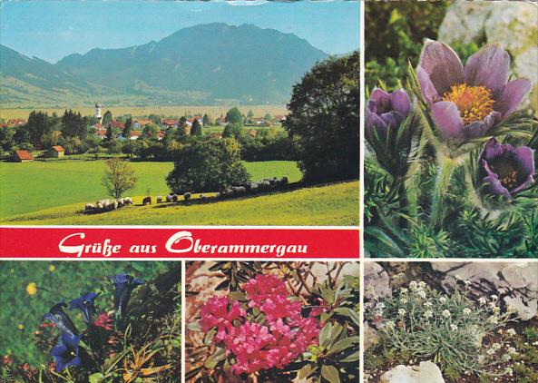 Greetings Gruesse Aus Oberammergau Germany Multi View