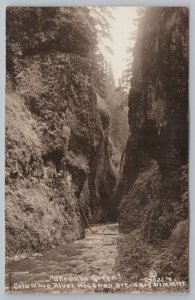 Real Photo Postcard~Columbia River Highway~Oneonta Gorge~c1910 RPPC 