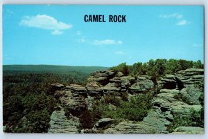 1960 Harrisburg Illinois Postcard Shawnee Hills Camel Rock Draver Garden Area