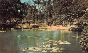 Taichung City Park Taiwan The Lotus Pool Scenic View Vintage Postcard J79692