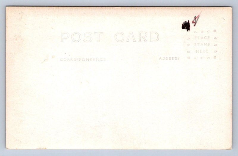 DS2/ Munising Michigan RPPC Postcard c1920s Gull Point Grand Island 212