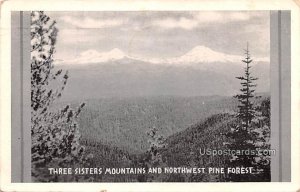 Northwest Pine Forest - Three Sisters Mountains, West Virginia