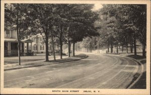 Delhi New York NY South Main Street Vintage Postcard