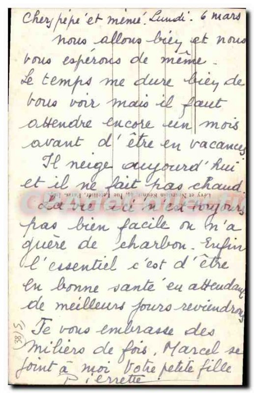 Old Postcard Grenoble Le Jardin Des Dauphins