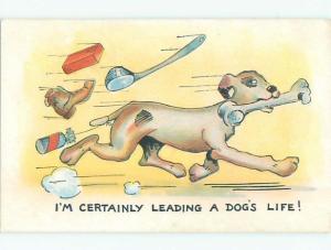 Pre-Linen comic DOGS LIFE - OBJECTS THROWN AT DOG WITH BONE k3700