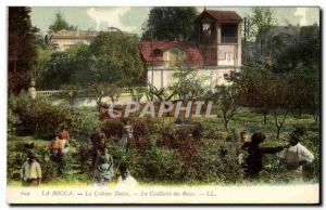 Old Postcard Rose Picking La Bocca Culture Dalou TOP