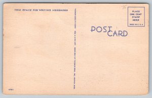 Humor Comic  Fishing  Sailing   Sea Sickness  Postcard