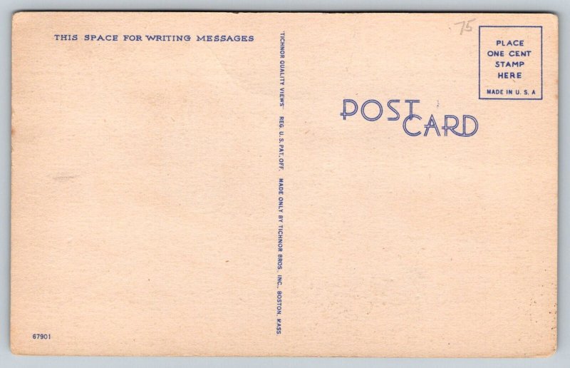 Humor Comic  Fishing  Sailing   Sea Sickness  Postcard