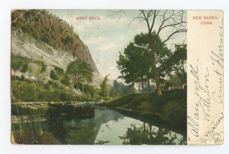 Postcard West Rock New Haven Conn. Connecticut Standard View Card