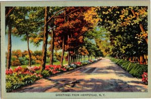 Scenic View, Greetings from Hempstead NY Vintage Postcard E43