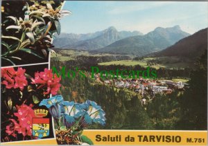 Italy Postcard - Tarvisio Panorama, Udine   RR19878