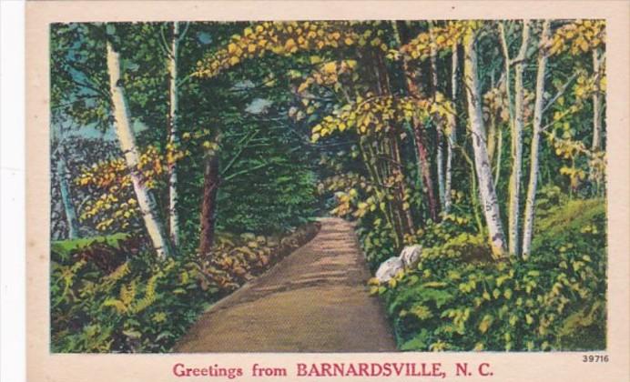 North Carolina Greetings From Barnardsville