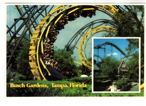 Exhibition Ride, Python Roller Coaster, Busch Gardens, Tampa, Florida