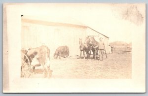 RPPC  Farmer With Horse Team  Sepia Toned  - Real Photo Postcard  c1917