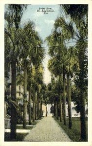 Palm Row - St Augustine, Florida FL  